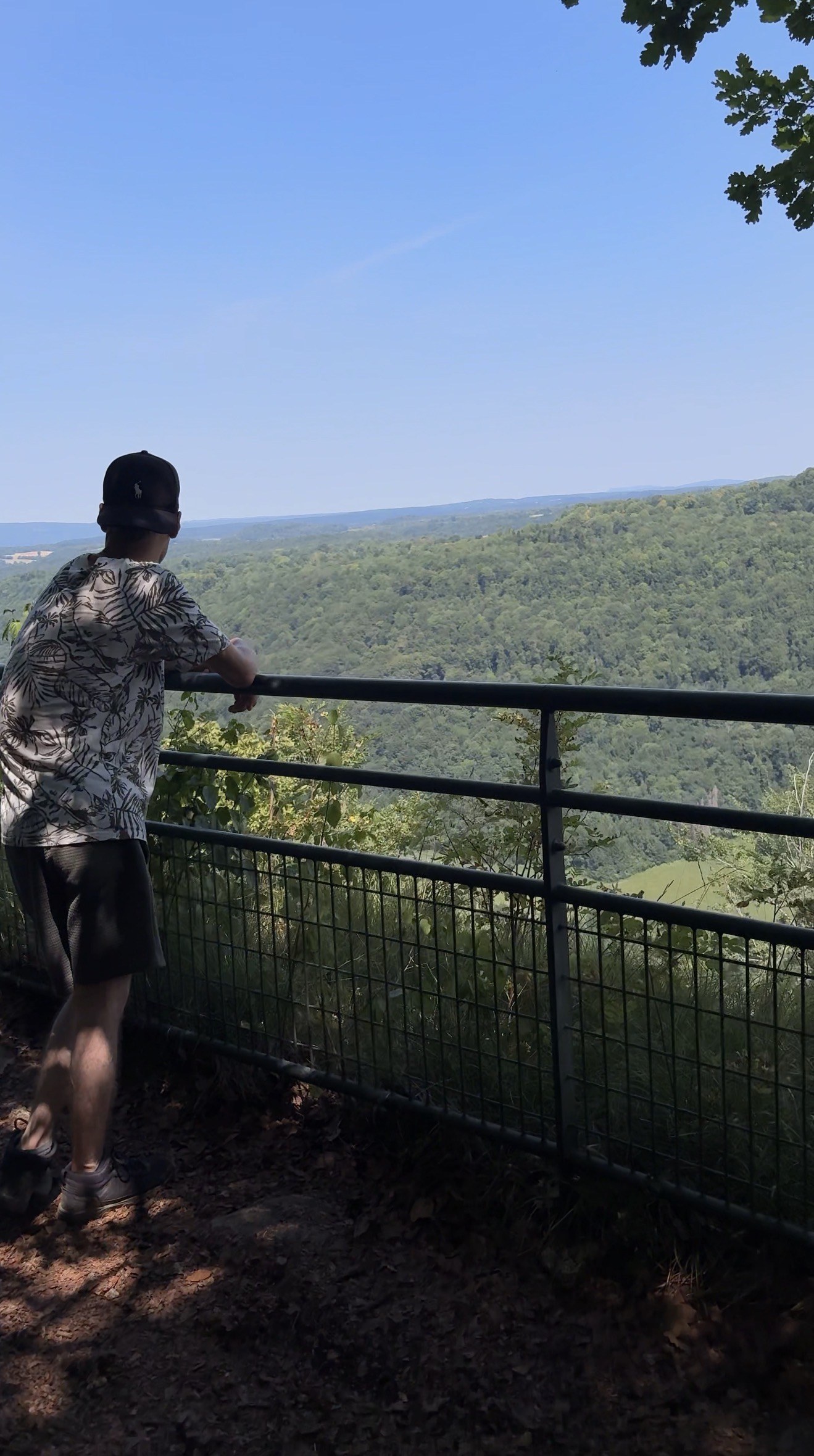Point de vue sur le sentier des Cascades du Hérisson