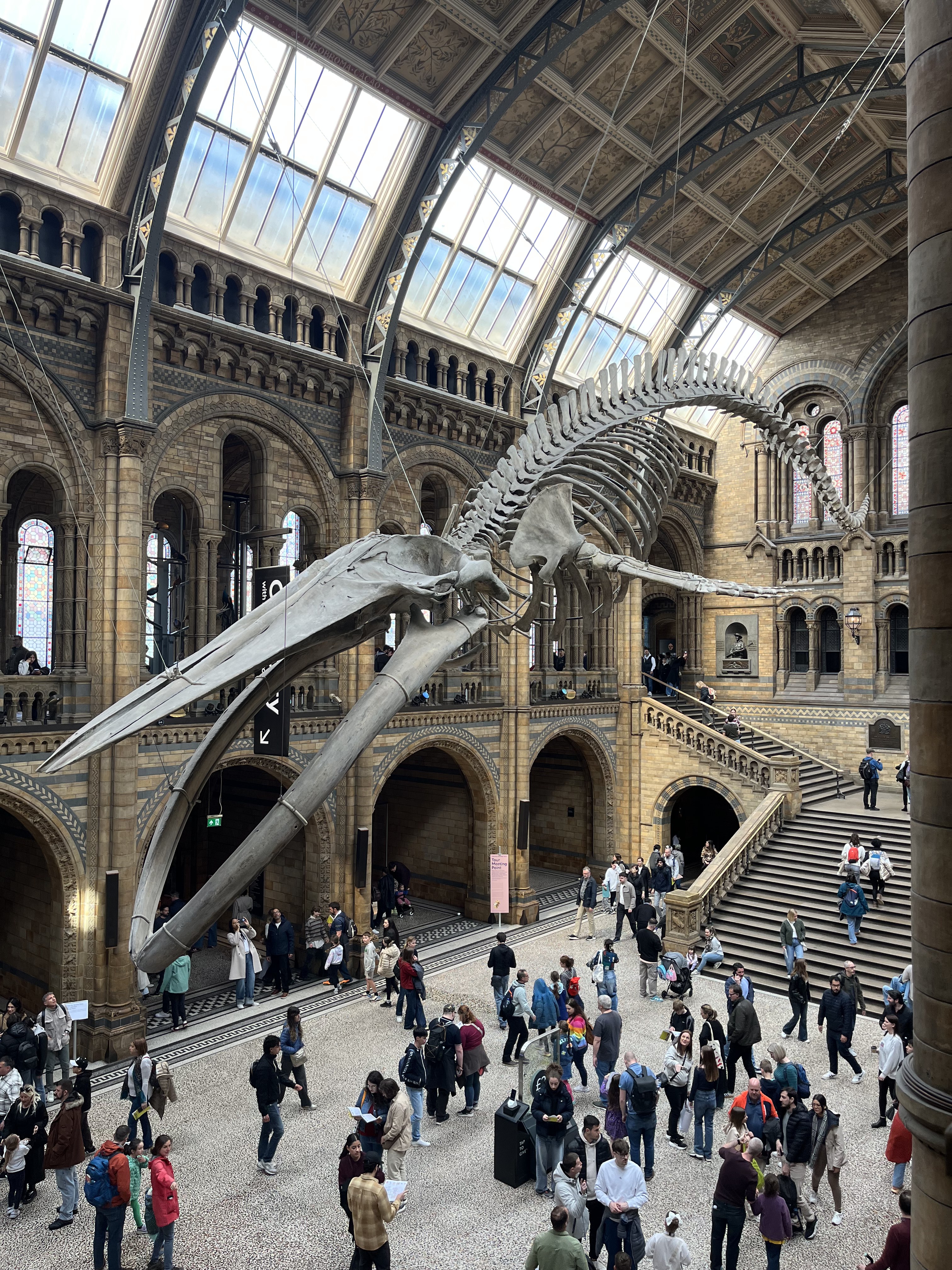 Natural History Museum architecture