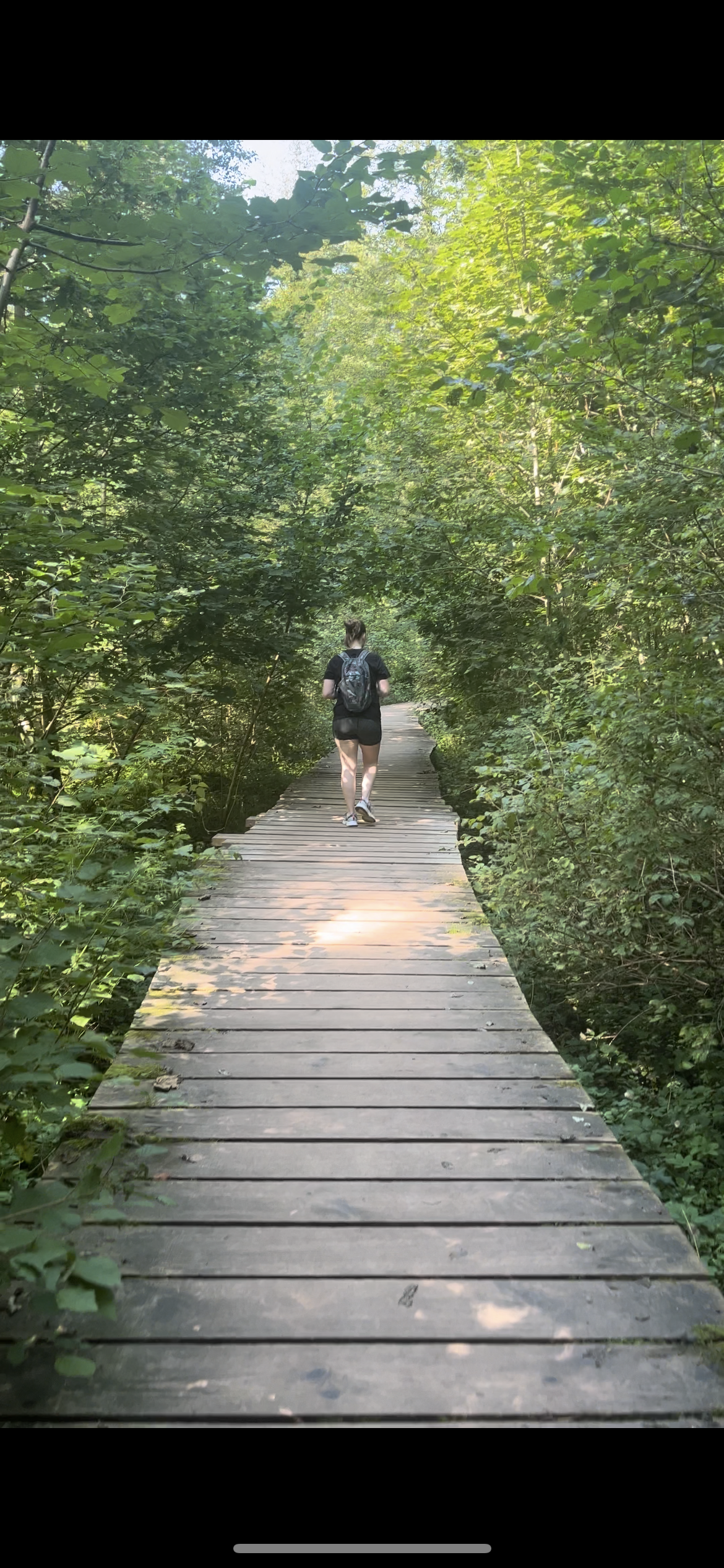 Sentier en bois dans la forêt luxembourgeoise