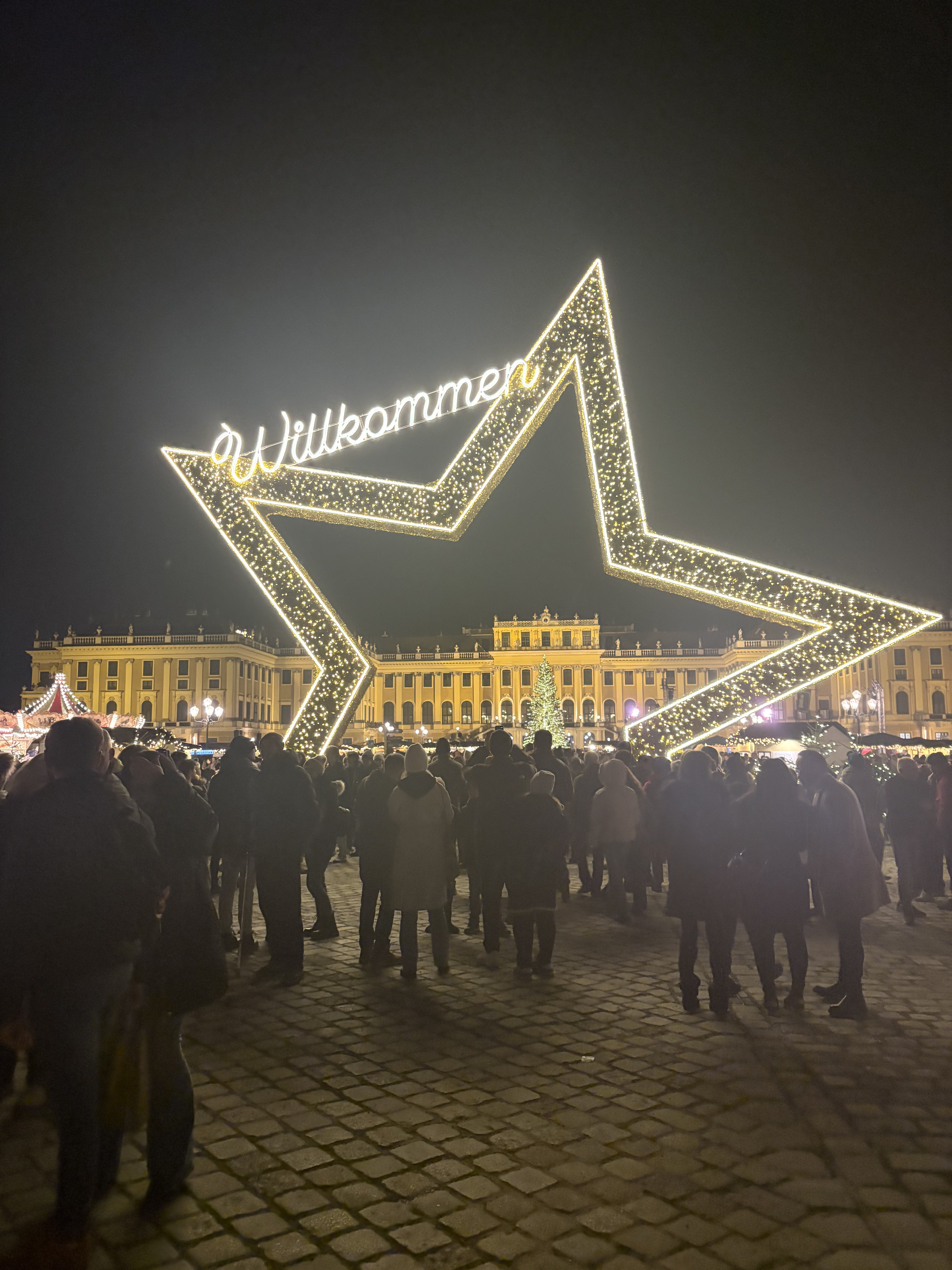 Marché de Noël Saint-Étienne Vienne